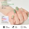 GAOY Jelly Gel Nail Polish, 16ml Sheer Green Translucent Soak