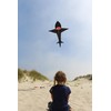 In the Breeze 7.5 Foot 3D Shark Kite - Single