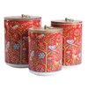Bico Red Spring Bird Ceramic Canister Set of 3 for