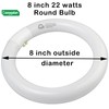 COOGGALAN 8 inch FC8T9/CW 22W Cool White Circular Fluorescent Light