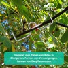 VZU Pack of 30 8 cm M-shaped Fruit Tree Branch