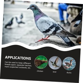 Sosoport 100pcs Pigeon Identification Leg Bands for Easy Bird Identification for Pigeon Supplies and Poultry Management Clip Design for Effortless Use