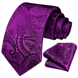 HISDERN Paisley Ties for Men Solid Tie Handkerchief Purple Floral Men's Necktie & Pocket Square Set Wedding Classic Mens Ties