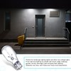 Riakrum T5 Landscape Light Bulbs 12 Volt 4 Watt Landscape