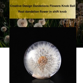 AUTENS Dandelion Flowers Manual Gear Shift Knob Ball, Universal Crystal Acrylic Shift knobs, Shifter Lever Head Fit Manual Automatic Vehicles with 3 Pure Copper Adapters. (Dandelion)