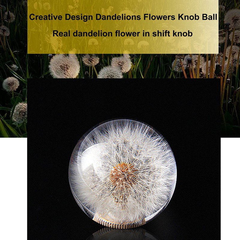 AUTENS Dandelion Flowers Manual Gear Shift Knob Ball, Universal Crystal
