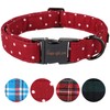 Unique style paws Dog Collar Metal Buckle Collar Gift for