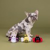 Fringe Studio Plush Dog Toy, 3 Pieces Set, WE’RE Super
