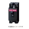 Panasonic BS20206 Safety Breaker, HB Type, 2P2E 6A