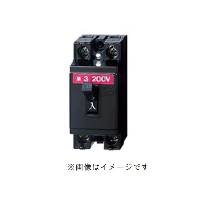 Panasonic BS20206 Safety Breaker, HB Type, 2P2E 6A