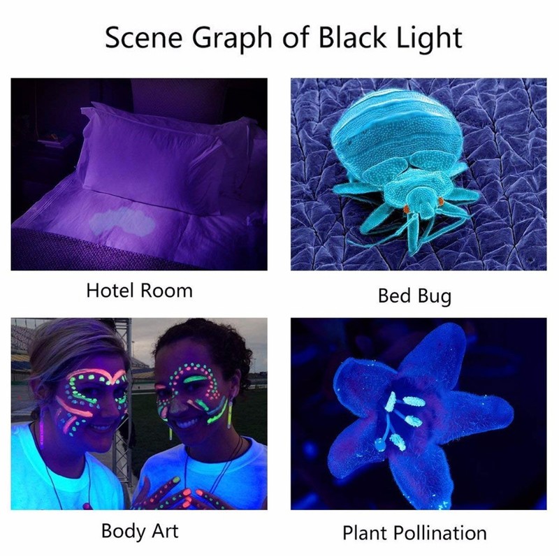 UV Flashlight LED 365nm Aluminium Alloy Battery Powered Widely Used