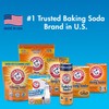 Arm & Hammer Baking Soda Shaker, 12 Oz (Pack of