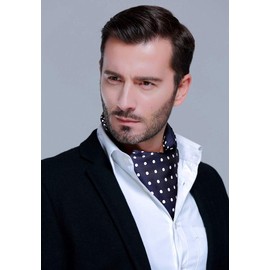 HISDERN Ascot Tie Mens Formal Cravat Ties Floral Paisley Polka Dot Jacquard Self Ascots Cravat Scarf Wedding Party