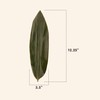 BambooMN Bamboo Leaves for Cooking Zongzi, Banana Leaf Alternative, Grilling/Barbeque,