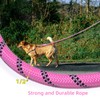 Codepets Heavy Duty Nylon Dog Leash 10FTx1/2in Pink with Comfortable