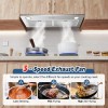 Zomagas 30 inch Built-in/Insert Range Hood 450CFM Kitchen Ducted/Ductless Vent