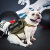 OneTigris Service Dog Vest Harness Saddle Bag Backpack Pouch, Emotional