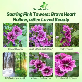Outsidepride Braveheart French Hollyhock Seeds - 100 Pcs Perennial Purple Heirloom, Long-Blooming Drought Tolerant Flower Seeds with Semi-Double Blooms for Cottage Gardens & Cut Flowers