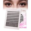 CALAILIS Eyelash Extensions, Pack of 100, Individual Eyelashes, Super Thin,