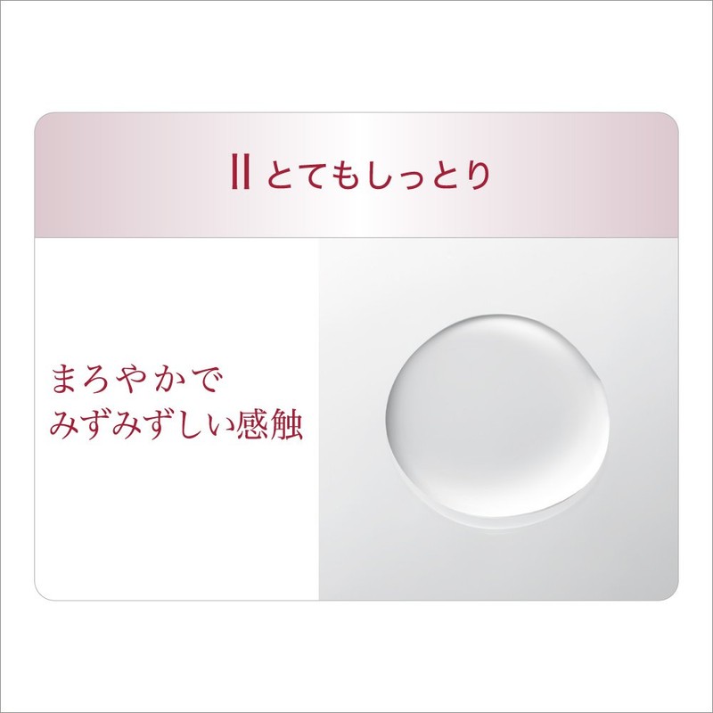 Evita Botanical Deep Moisture Lotion II Very Moisturizing Natural Rose