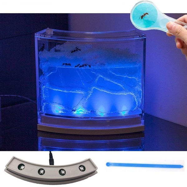 NAVAdeal Ant Farm Habitat for Kids W/LED Light – Great