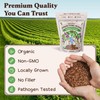 Seedboy Organic Non-GMO Sprouting Seeds, Immune System Booster - USA
