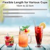 Set of 3 Telescopic Stainless Steel Straws, Stainless Steel Straws,
