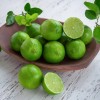 Garden State Bulb Persian Lime Tree, Citrus Live Plant (1