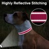 Taglory Reflective Adjustable Dog Collars for Puppy Small Medium Large