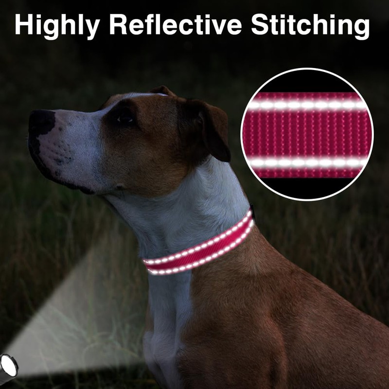 Taglory Reflective Adjustable Dog Collars for Puppy Small Medium Large