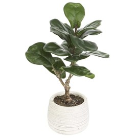 14" Silk Fiddle Leaf Fig Plant w/Cement Pot -Green (Pack of 6)