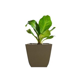 The HC Companies SKS16000E66 Square Planter, 16", Cavern Terra Cotta