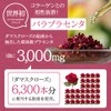 タマチャンショップ こなゆきプラントベースコラーゲン 100g 低分子コラーゲンペプチド 植物性