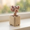 Yuvori 12-Pack 1.6" Modern Square Succulent Pots with Large Drainage