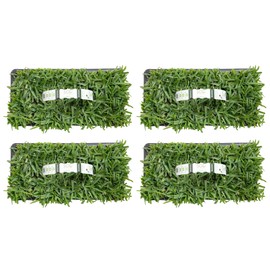 SodPods® St. Augustine Palmetto Grass Plugs for Lawn Repair, 3" x 3" Each (32-Count) – Cannot Ship to California/Arizona