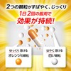 【指定第2類医薬品】パブロン鼻炎カプセルSα 24カプセル