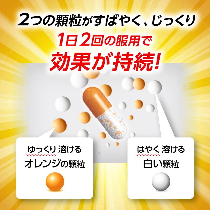 【指定第2類医薬品】パブロン鼻炎カプセルSα 24カプセル