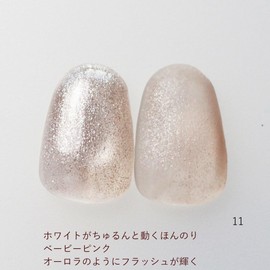 Magnetic Nail Gel Nail Magnetic Gel 0.3 oz (8 g) Glitter One Hon Nail Reno Gel Dull Color Art Gel Nail Color Gel Nail Magnet Clear Ceramic Self Nail Salon Large Capacity Professional (RN11, 1)