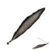 21cm Long Incense Sticks Holders, Metal Leaf Ash Catcher, Meditations