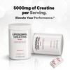 Codeage Codeage Liposomal Creatine Powder Supplement - 3-Month Supply -