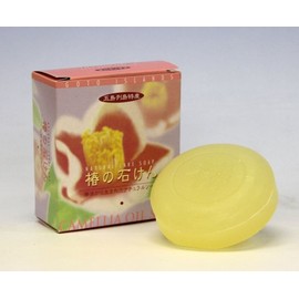 Bloom 五島列島 Camellias Soap G