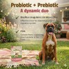 Pet Naturals Suplementos Naturales Daily Probiotics para Perros