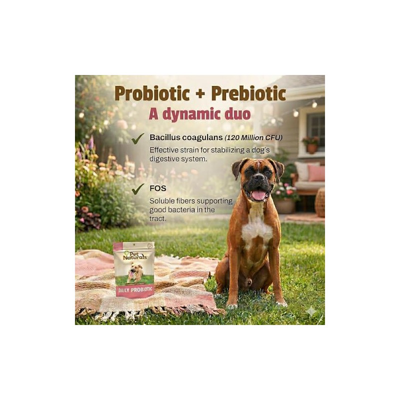 Pet Naturals Suplementos Naturales Daily Probiotics para Perros