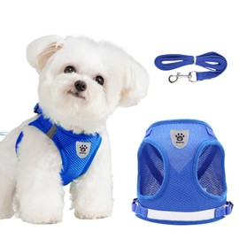 DOINEUFL Puppy Harness, Dog Harness and Leash Set, Soft Mesh Reflective Breathable Lightweight Vest-Style Dog Harnesses with Safety Buckle for Small and Medium Dogs, Cats, Puppies (Blue, S)