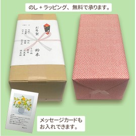 Ibuki Yakuizumi Monogatari 15 Bags 30 Packs