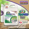 Bonide Captain Jack's Deadweed Brew, 128 oz Ready-to-Use with Attached