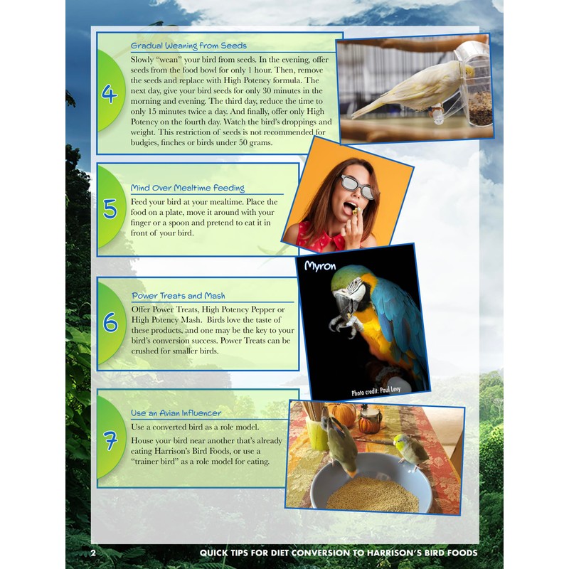 Harrison's Bird Foods Adult Lifetime Coarse Certified Organic Non-GMO Daily