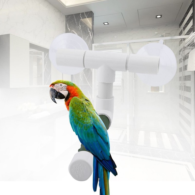 Parrot Bath Perch,Bird Perches Parrot Budgie Foldable Suction Cup Window
