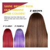 Champú Teñir Cabello Negro Eeloe Rojo Vino