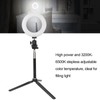 6 Inch Ring Light Dimmable LED Fill Light with Stand